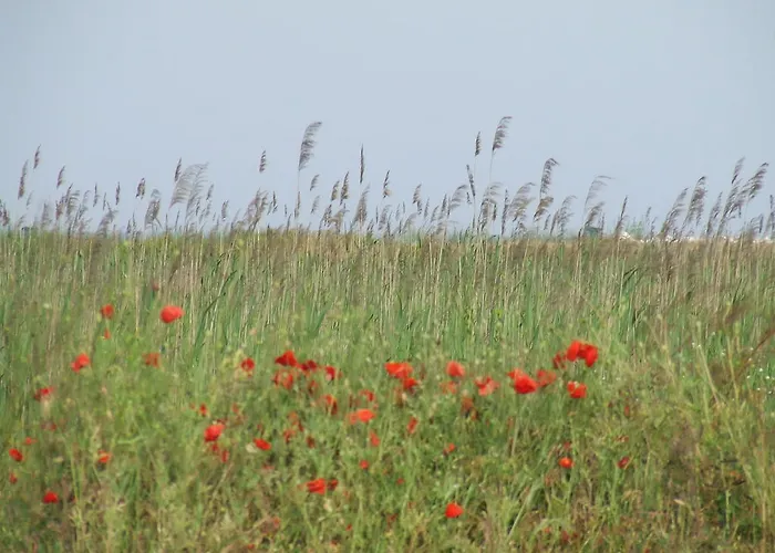 ゲストハウス Varnaflats Guest